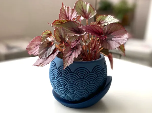https://makerworld.bblmw.com/makerworld/model/US4489b7a6043e44/design/2025-04-13_329f123ad4126.jpeg
