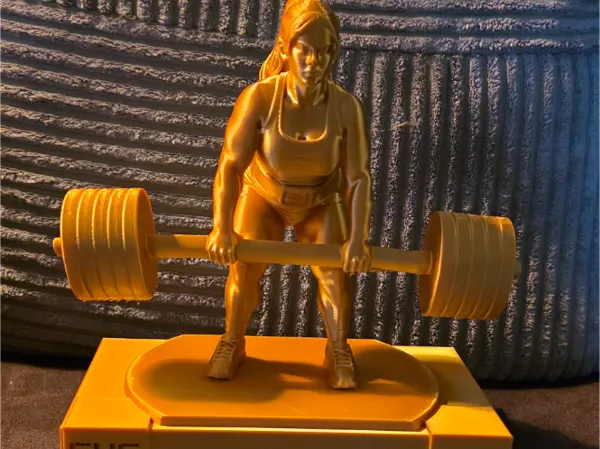 https://makerworld.bblmw.com/makerworld/model/US44900bd1424e8a/design/2026-01-07_2b6aa3233b459.jpg