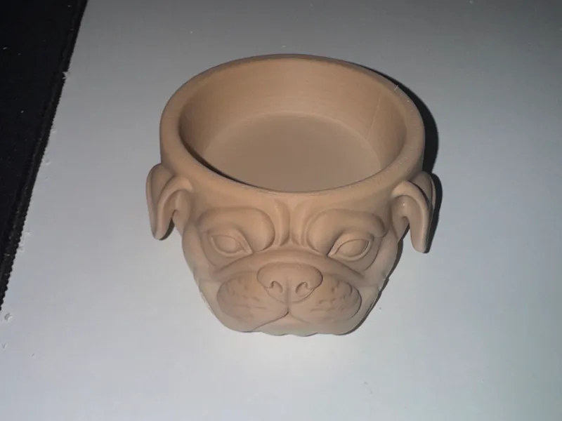 Hund Schussel
