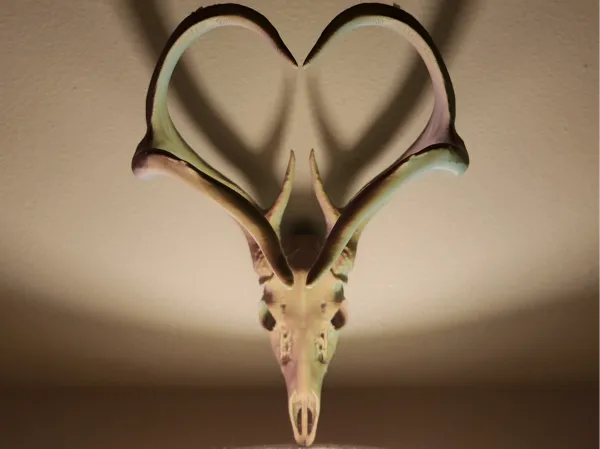 https://makerworld.bblmw.com/makerworld/model/US44949eb5df57bc/design/2025-01-21_49e4fbfc73784.jpg