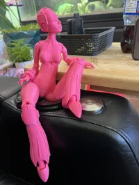 PLA with PLA / PETG Support Filament