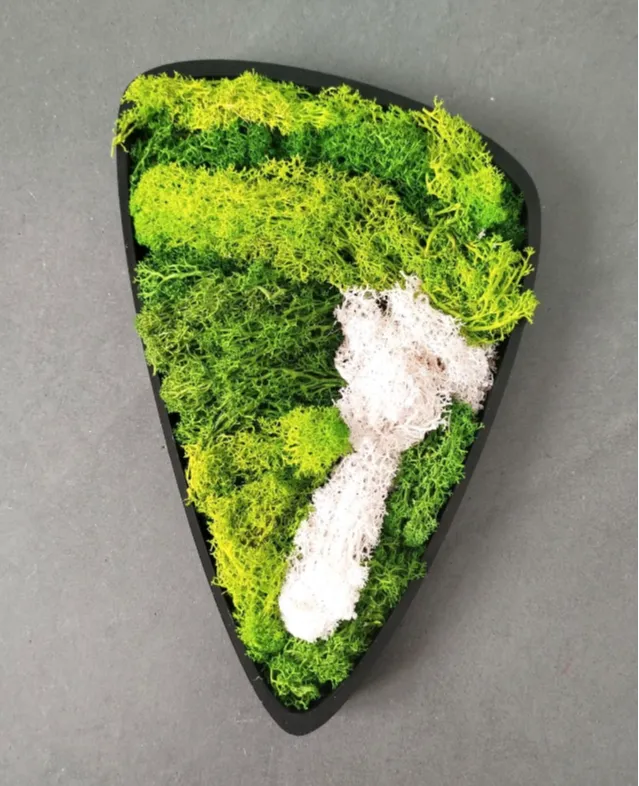 Moss Pictures - Wallart