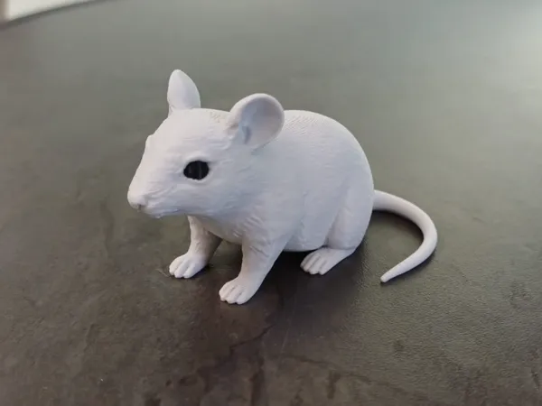 https://makerworld.bblmw.com/makerworld/model/US44a7c7ecaa5527/design/c2dcbdc69ea8f776.jpg