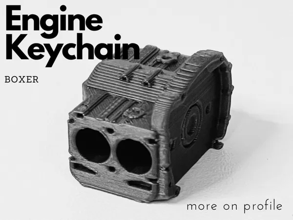https://makerworld.bblmw.com/makerworld/model/US44a87d083cd9e7/design/2024-10-10_f6c1e536cd5ff.jpg