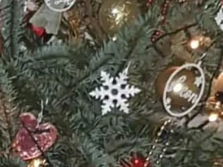 Snow flakes and hooks
