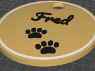 Custom Dog name tag (smaller)