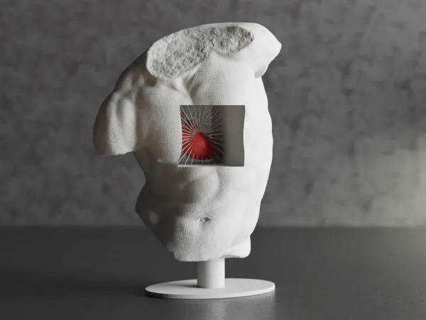https://makerworld.bblmw.com/makerworld/model/US44b5ea398d1b15/design/2024-02-21_1e0328074b54e.png