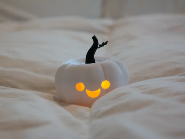 https://makerworld.bblmw.com/makerworld/model/US44b65643010332/design/2025-09-22_4539d2963563d.jpg
