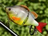 Bluegill body for TPU tail 0.16mm layer, 100% infill