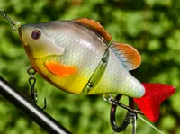 Bluegill 0.16mm layer, 2 walls, 100% infill