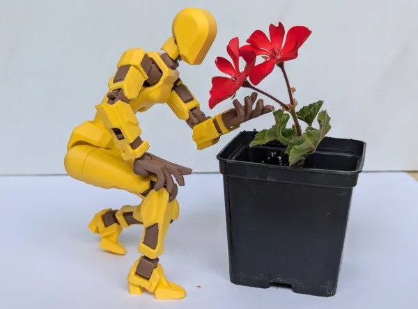 https://makerworld.bblmw.com/makerworld/model/US44bbdba1660414/design/2024-08-05_5698ec23a5c06.jpg
