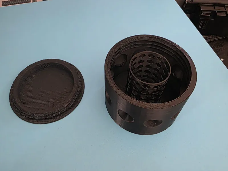 Planaria trap for fish tank