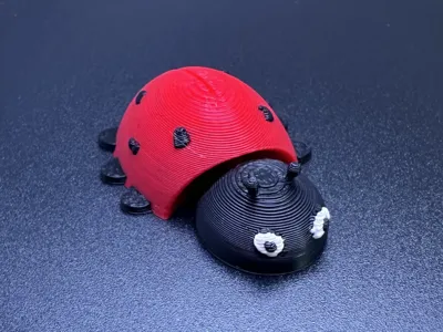 Ladybug Mini Flexi