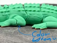 2 COLOR BOTTOM