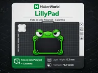 0.2mm layer, 2 walls, 20% infill