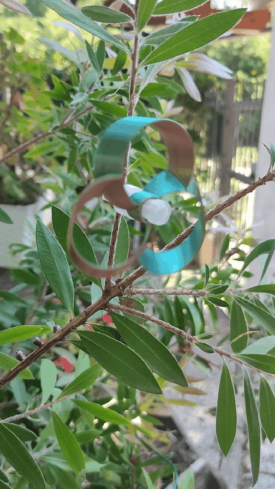 mini toroidal windmill