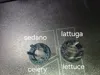 Improved lettuce and celery seeding ring