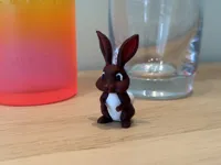 MULTICOLOR --- 0.24mm layer, 2 walls, 15% infill
