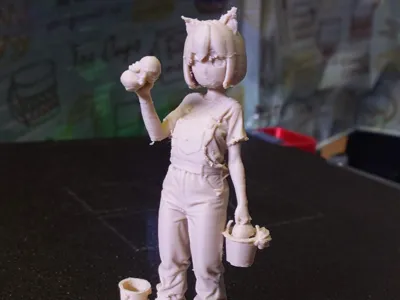 Cat-eared Car Washing Girl
