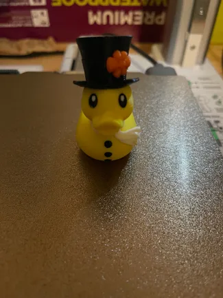 Mr. Duck