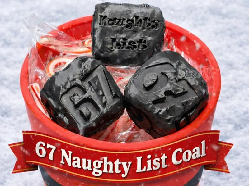 Customizable 67 Naughty List Coal Funny