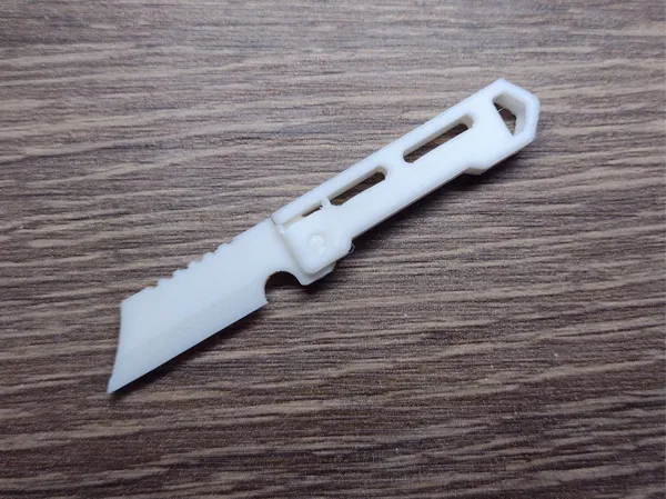 https://makerworld.bblmw.com/makerworld/model/US44dae194e5e80f/design/2024-09-14_638adf5488b2e8.jpg