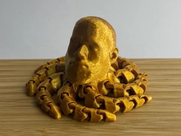 https://makerworld.bblmw.com/makerworld/model/US44db6f96b784a5/design/068728affbe9f825.png
