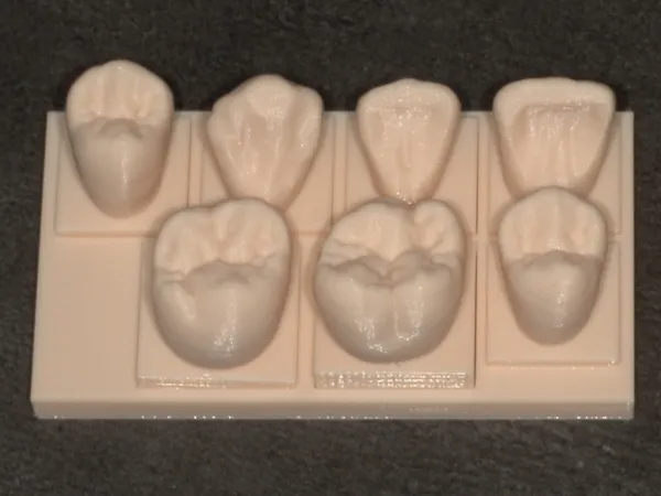 https://makerworld.bblmw.com/makerworld/model/US44ec04c58dfbac/design/2025-11-25_3f3c1729b04fc.jpg