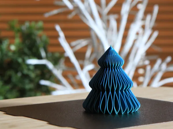 https://makerworld.bblmw.com/makerworld/model/US44f05e7d7a5624/design/2024-12-20_33d1a6842e6e88.png