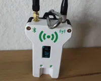 BLE + Lora + Hook