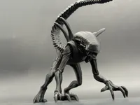 异形