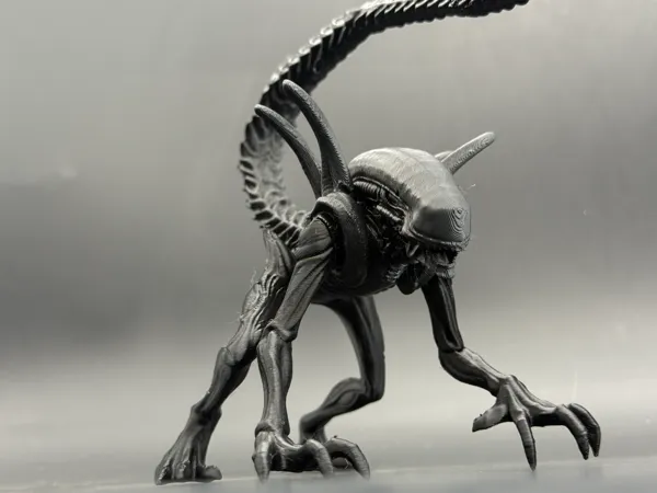 https://makerworld.bblmw.com/makerworld/model/US44f68275886499/design/3bd865bcc638d0c8.jpg