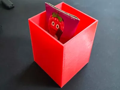Sun Lolly Holder
