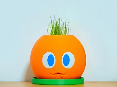 Bubu Spitting Planter