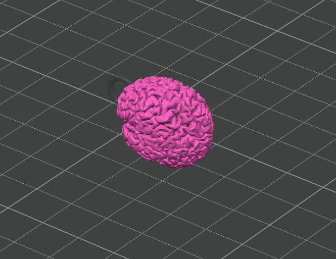 Miniatura 3 do modelo 3D brain keychain
