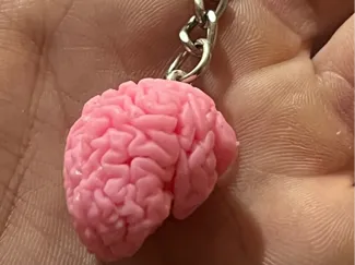 brain keychain