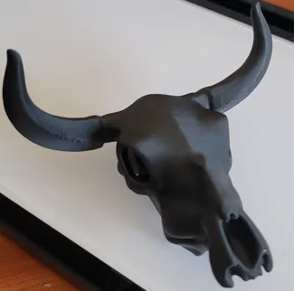 Cow Skull