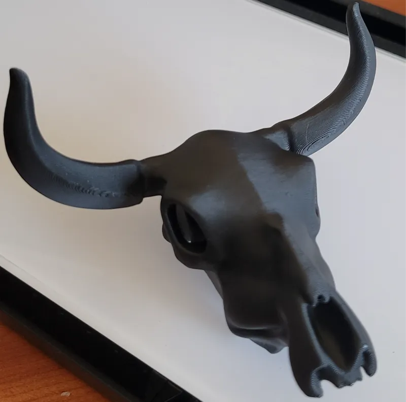 Cow Skull