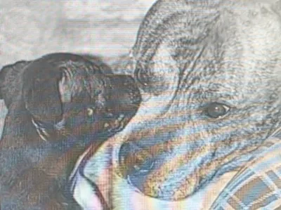 lithophane Leon and Borte