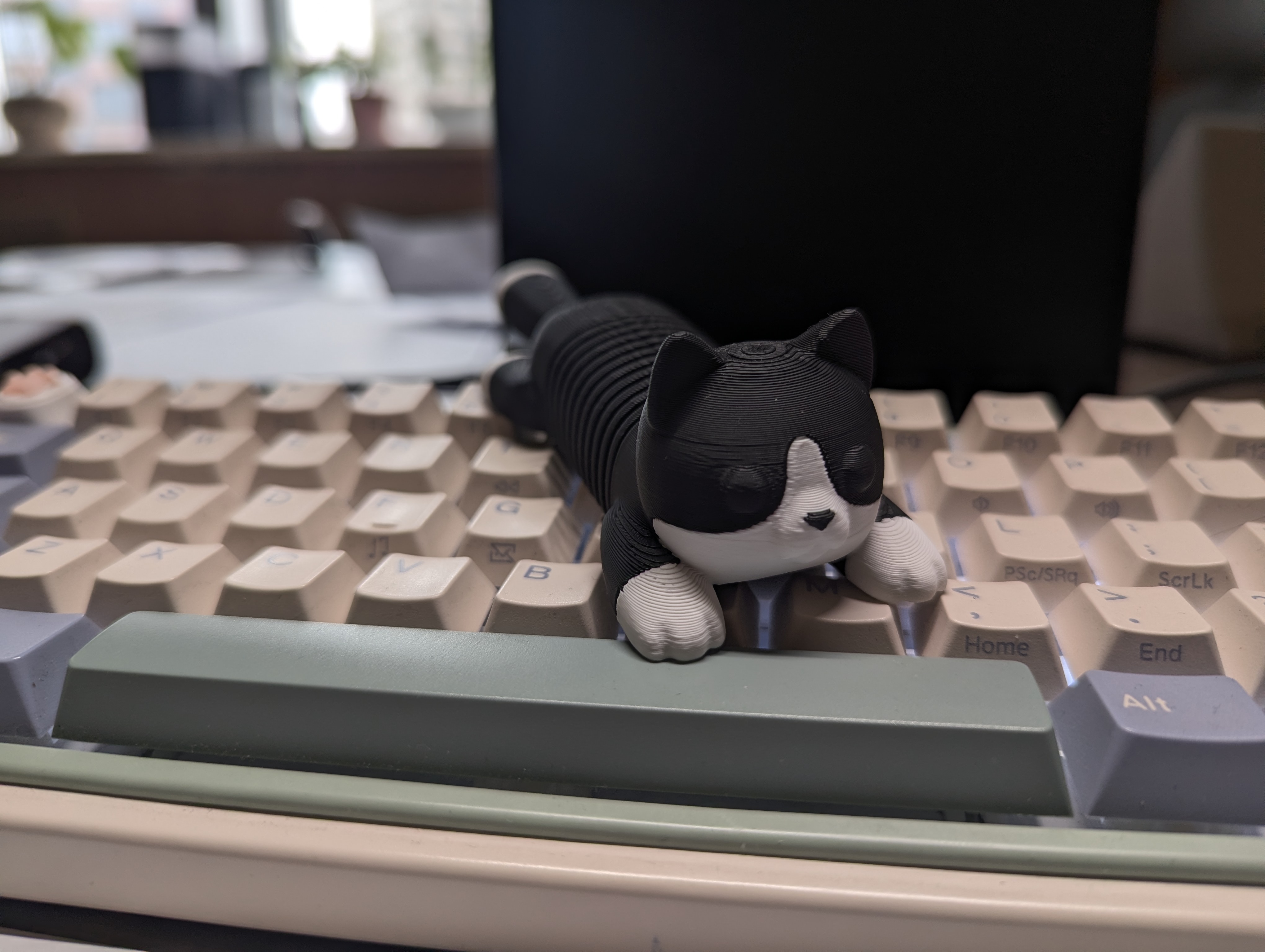 Miniatura 2 do modelo 3D Flexi Mini Cat [Spring]