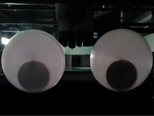 https://makerworld.bblmw.com/makerworld/model/US4515ace511e649/design/2025-12-18_93bfb75c5e3778.png