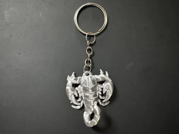 https://makerworld.bblmw.com/makerworld/model/US45166500bd8ee0/design/a638d4f2b7683754.jpeg
