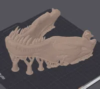 Crâne de T-Rex — photo 3