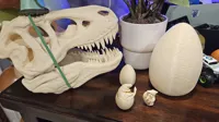 Crâne de T-Rex — photo 4