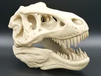 Crâne de T-Rex — photo 1