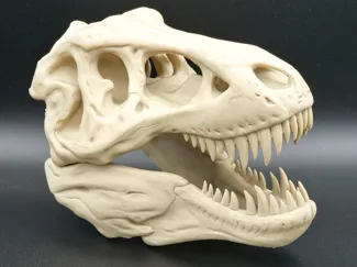 T-Rex Skull