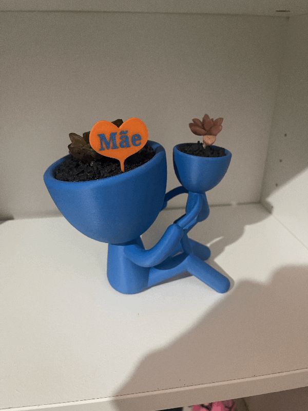 https://makerworld.bblmw.com/makerworld/model/US451af4348a9961/design/2024-01-01_954a48a107a4a.gif
