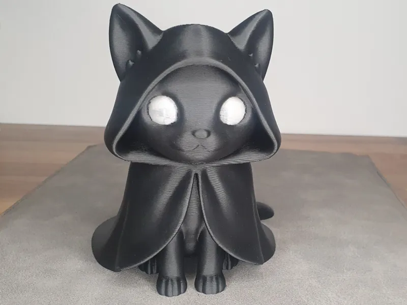 Mystic Cat in Cape  