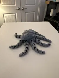 ROCKtopus — photo 4