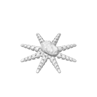 ROCKtopus — photo 3